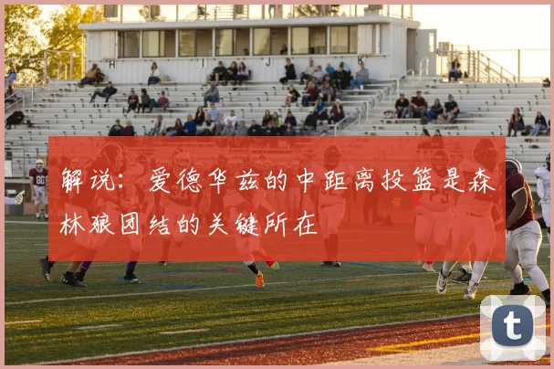 解说：爱德华兹的中距离投篮是森林狼团结的关键所在