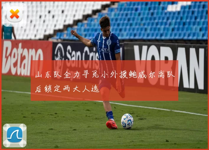 山东队全力寻觅小外援鲍威尔离队后锁定两大人选